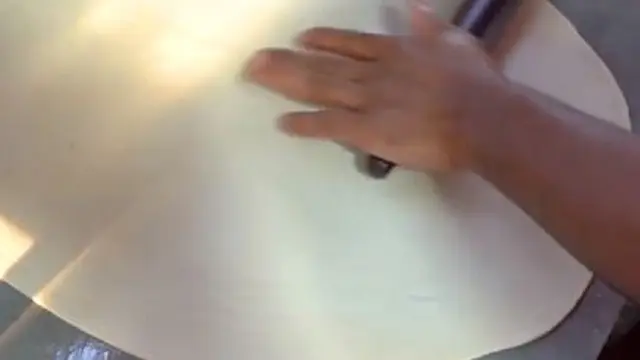 Chicken Egg Roll