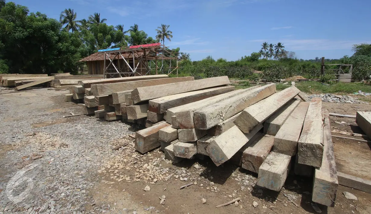 Pekerja beraktivitas di tempat pemotongan kayu di kawasan Hutan Produksi Popayato, Kabupaten Pohuwato, Gorontalo, Minggu (11/9). Dari hutan yang ada di Gorontalo seluas 90 ribu hektar, 16 ribu hektar mengalami kerusakan. (Liputan6.com/Immanuel Antonius)