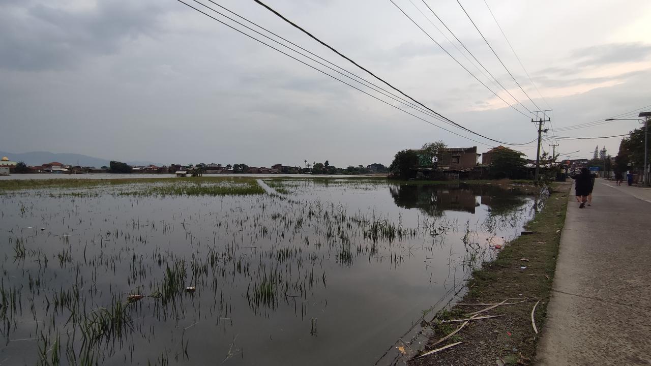 Banjir Rendam 85 Persen Lahan Pertanian di Tegalluar Bandung, Petani Gagal Panen