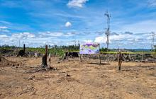 Kemenhut Amankan Ribuan Hektare Perambahan Hutan di Lanskap Seblat, Habitat Gajah Sumatera
