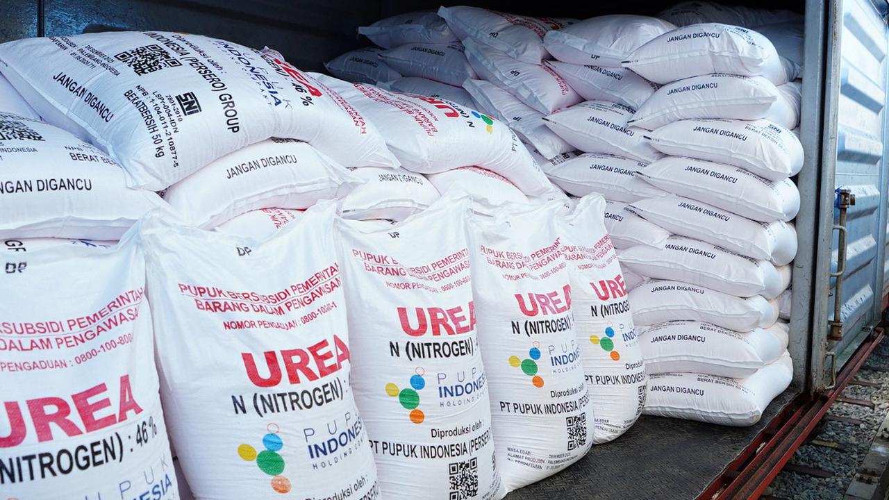 Lingkup program ini mencakup pada pemberdayaan petani melalui pendampingan intensif, fasilitas akses permodalan, perlindungan risiko, dan jaminan akses pasar dengan harga bersaing.