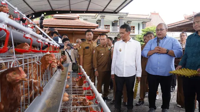 Program GAYATRI (Gerakan Ayam Petelur Mandiri), salah satu program unggulan Pemerintah Kabupaten Bojonegoro melalui APBD 2025 (Foto: Pemkab Bojonegoro)