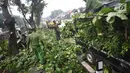 Petugas menebang dahan pohon di kawasan Tanjung Barat, Jakarta, Kamis (16/11). Penebangan dilakukan sebagai langkah antisipasi untuk mencegah pohon agar tidak tumbang saat hujan. (iputan6.com/Immanuel Antonius)