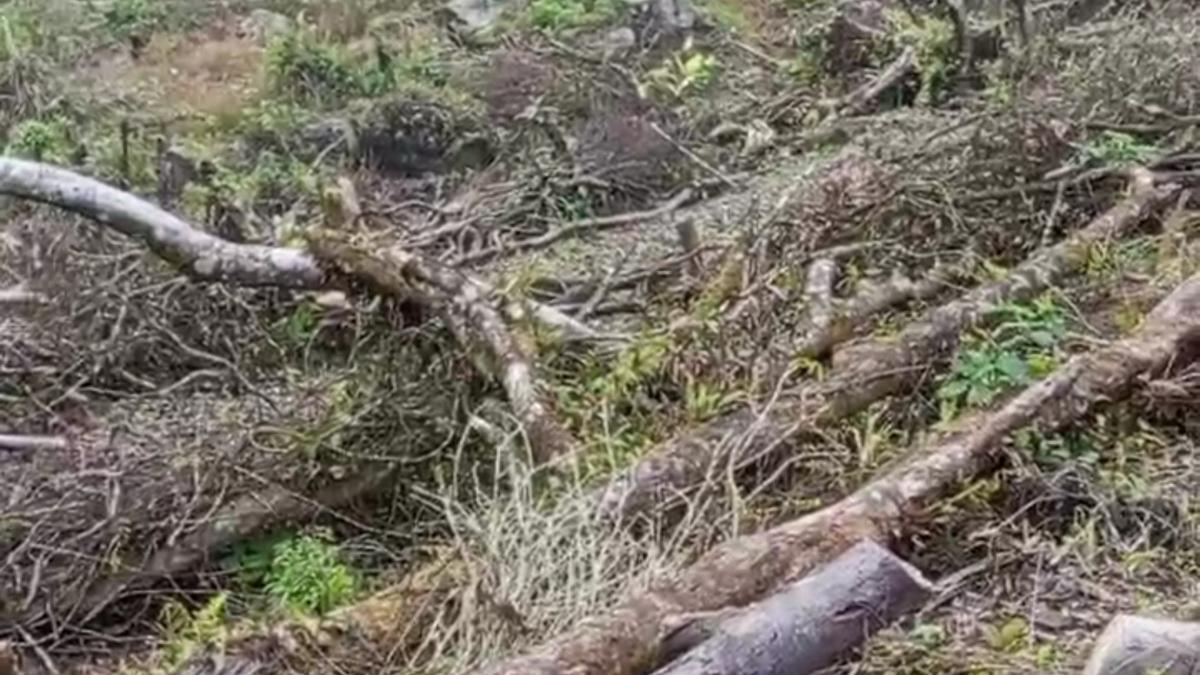 Hutan Gunung Salak Dibabat Atas Nama Pariwisata, Warga Cidahu Hidup Dalam Kekhawatiran