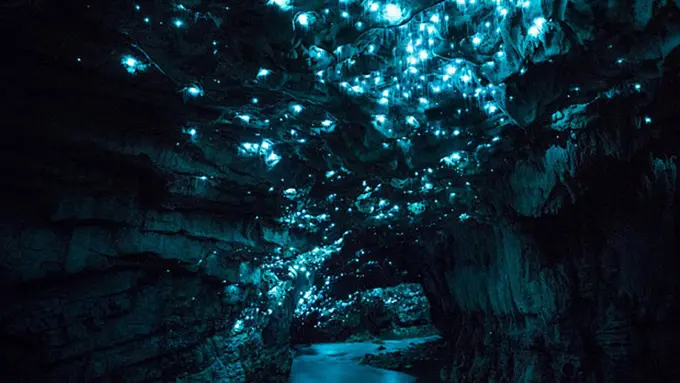 Foto-foto yang Jadi Bukti Kalau Keajaiban Alam Itu Nyata