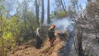 Kebakaran Gunung Butak Padam Total, Petugas Tetap Siaga