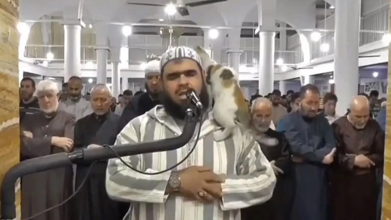 Viral Kucing Melompat ke Bahu Imam yang Pimpin Sholat Tarawih, Tidak Diusir Malah Dipeluk