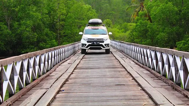 Menyibak Rupaneka Hayati Kalimantan yang Menawan