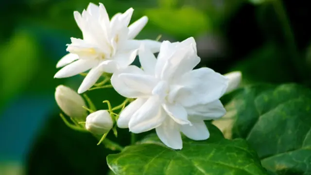 Foto: copyright thinkstockphotos.com