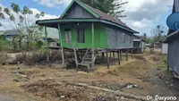 Kembali ke Rumah Panggung: Rahasia Leluhur NTT Selamat dari Gempa