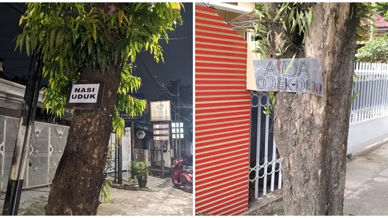 6 Tulisan Nyeleneh di Pohon Ini Tidak Jelas, Bikin yang Baca Jadi Bingung