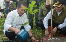 Gubernur NTB Ajak Warga Perkuat Komitmen Jaga Kelestarian Hutan NTB