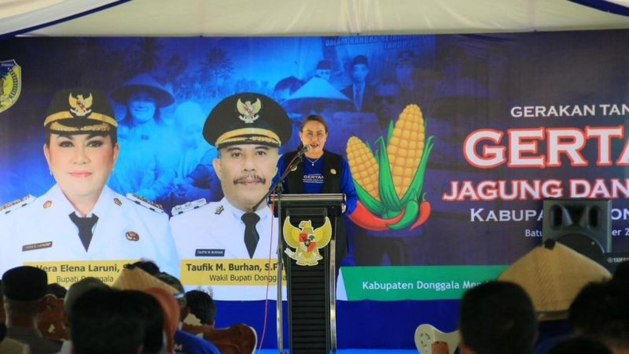 Donggala Kini Makin Terang! 20 KM Penerangan Jalan Umum Donggala Rampung, Tingkatkan Keamanan dan Ekonomi