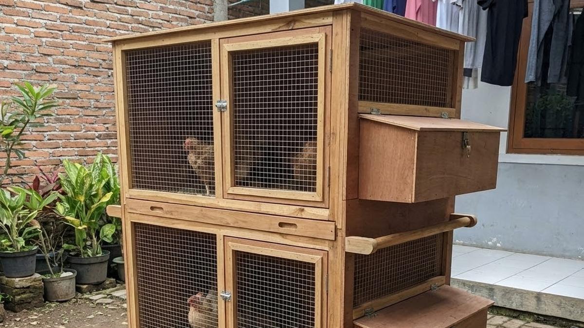 10 Ide Kandang Ayam Portable, Cocok untuk Kontrakan