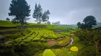 Potret camping ground yang berada di Nuansa Riung Gunung. (dok. Instagram @fikri_iyo/https://www.instagram.com/p/CPFQBnGr8-w//Gabriella Ajeng Larasati)