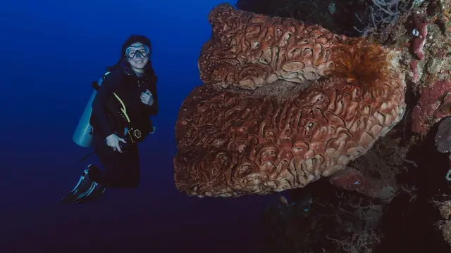 Naysila Mirdad (Instagram/naymirdad)