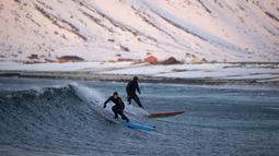 Peselancar beraksi dengan temperatur laut berkisar 5-65-6 ∞C dan juga temperatur udara   0∞C. di kawasan pantai  Flackstad, dekat Ramberg, kepulauan Lofoten, Arctic Circle, (10/3/2016). (AFP/Olivier Morin)