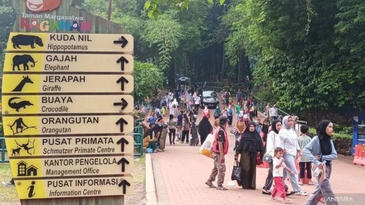 Pengelola Ragunan Prioritaskan Penambahan Petunjuk Arah Satwa untuk Kenyamanan Pengunjung