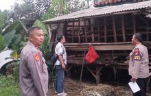 Kronologi Kambing Warga Depok Dicuri Hanya Tersisa Jeroan dan Ceceran Darah
