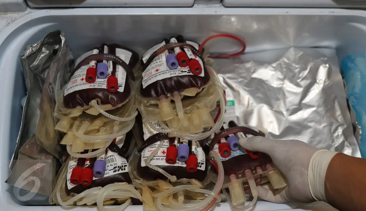 Petugas menata kantong darah pendonor sukarela saat acara donor darah di kawasan Senayan, Jakarta, Rabu (13/4). Dalam kegiatan tersebut Senayan City juga mengkampanyekan gaya hidup sehat dengan olahraga. (Liputan6.com/Herman Zakharia)
