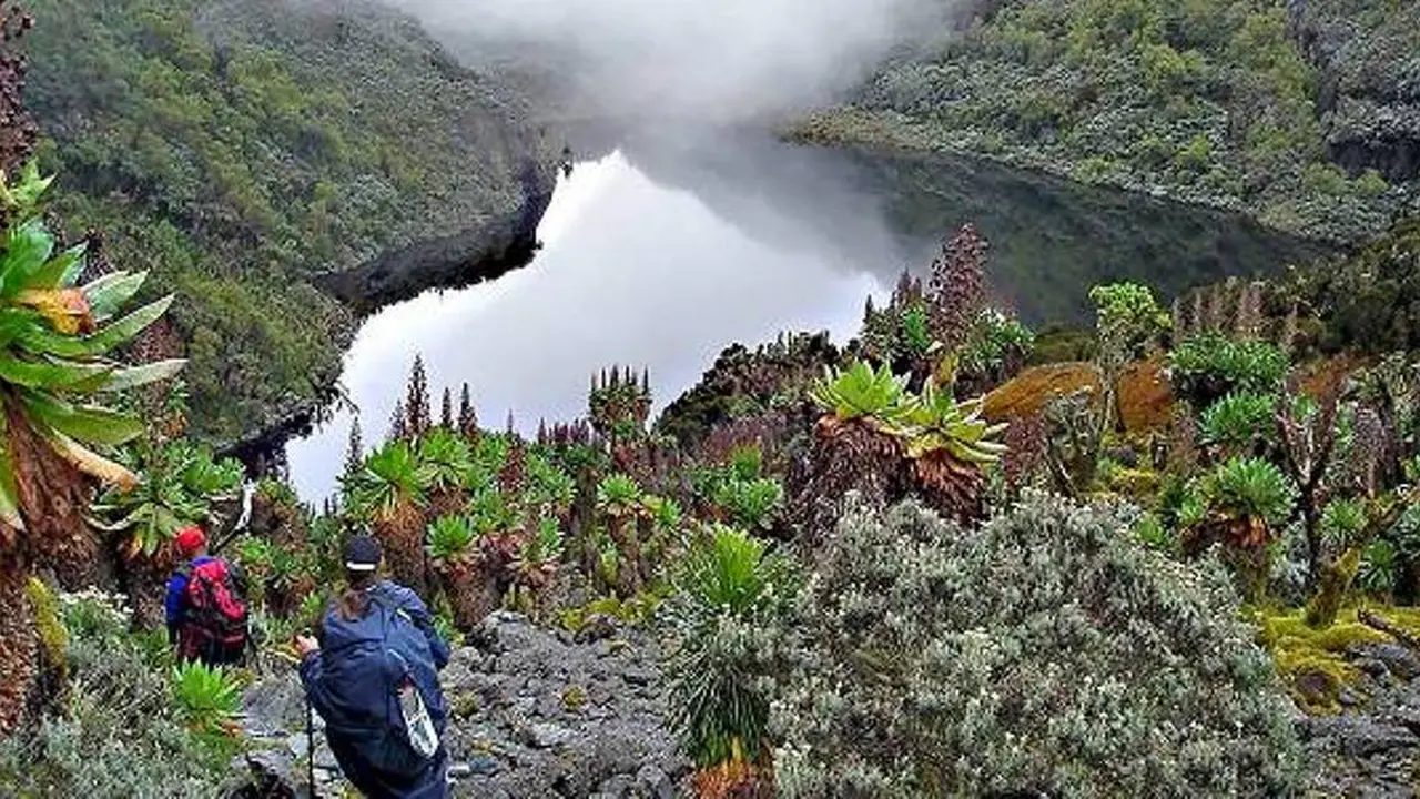 Taman Nasional Rwenzori, Uganda