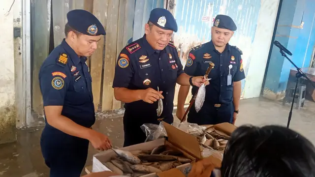 Ikan impor ilegal dari Malaysia. (Foto: Liputan6.com/Ajang Nurdin)