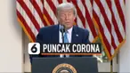 THUMBNAIL CORONA