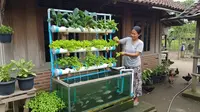 10 Ide Aquaponik Rumahan agar IRT Bisa Panen Sayur dan Ikan Sekaligus, Tidak Boros Belanja