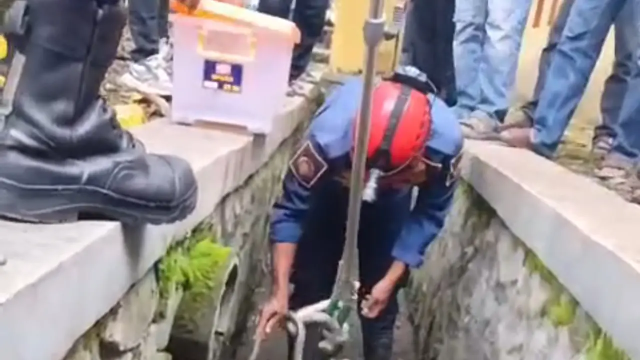 Ular sanca gegerkan warga Sukabumi. (Liputan6.com/Fira Syahrin)