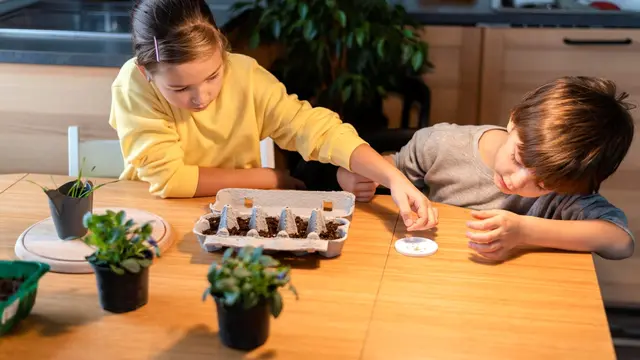 Aktivitas Memory Jar Bareng Anak, Cara Sederhana Mengenang dan Mengelola Emosi