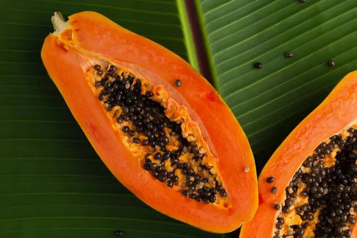 7 Buah yang Efektif Bantu Menghilangkan Lemak di Perut