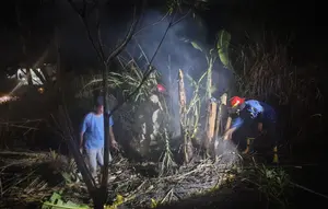 Kebakaran Lahan Picu Kepanikan Warga Sukabumi