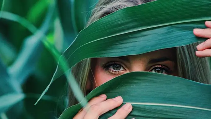 ilustrasi copyright pexels.com/Noelle Otto