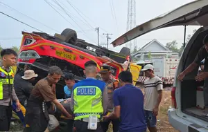Kronologi Bus Adhi Prima Terbalik di Mesuji, Sopirnya Kabur