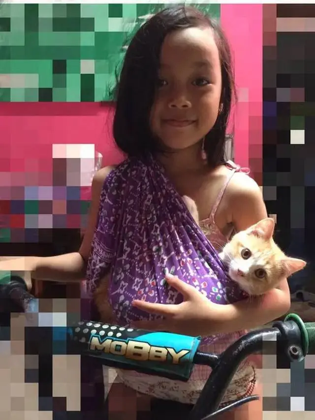 10 Potret Lucu Kucing saat Digendong, Ada yang Dipeluk Hingga Pakai Jarik
