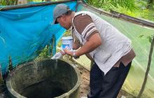 Dinkes Aceh Intensifkan Pencegahan DBD Aceh di Lokasi Pengungsian Pascabanjir