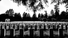 Ilustrasi meninggal, kematian, makam, kuburan. (Photo by davide ragusa on Unsplash)