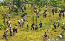 Otorita IKN dan Perbanas Perkuat Penghijauan dengan Penanaman 1.153 Pohon di Kawasan Inti
