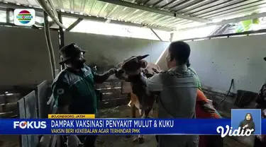 Perbarui informasi Anda bersama Fokus (01/07) dengan berita-berita sebagai berikut, Vaksin Penyakit Mulut dan Kuku Aman, Beli Gas 3 Kg Pakai Aplikasi, Sensai Makan Tahu di Pabrik Tahu, Pembelian BBM dengan Aplikasi.