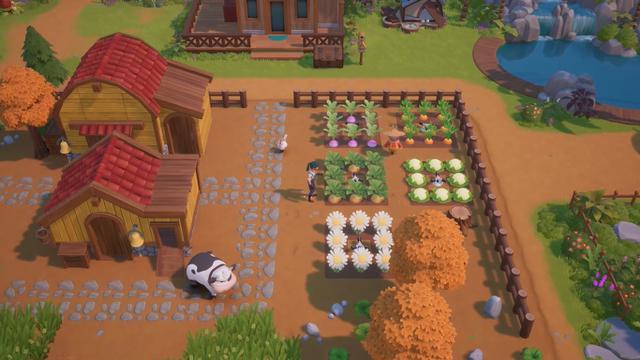 Coral Island (YouTube Coral Island)