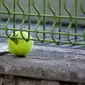 (Foto: Pixabay) Ilustrasi bola tenis.