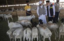 Pengelolaan Dam Petugas dan Jemaah Haji Harus Sesuai Standar Syariah