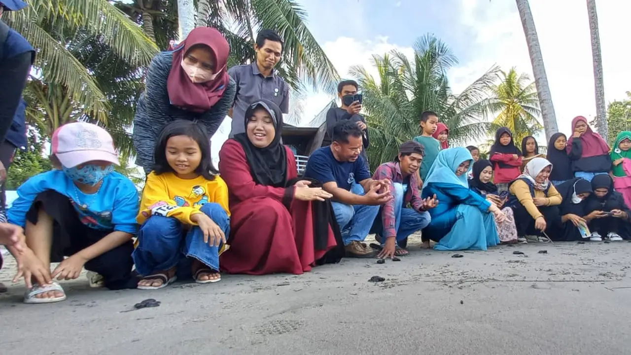 Hari Penyu Sedunia