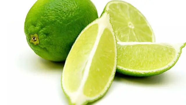 Copyright by Shutterstock.com