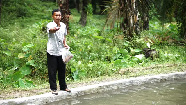 Ikan jurung