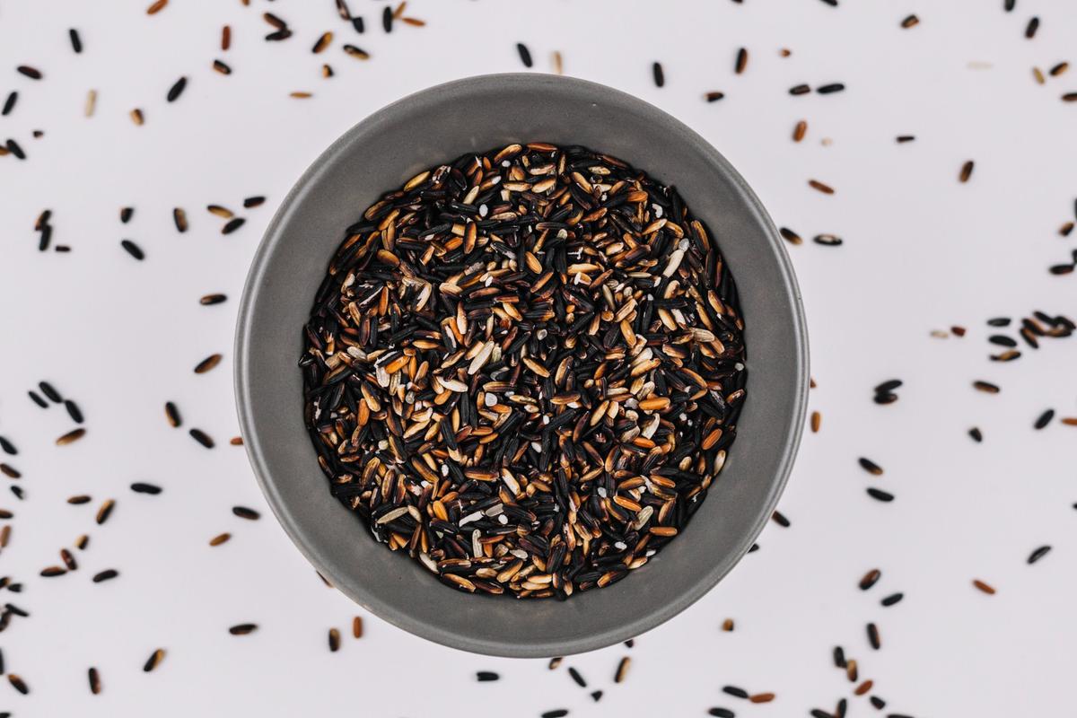 Ilustrasi Wild Rice
