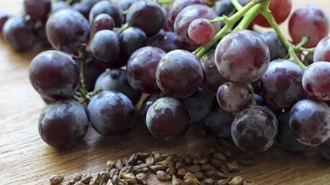 Photo: Copyright madis.qr