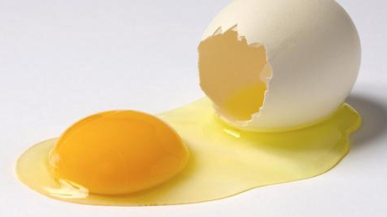 Banyak makan telur berisiko sama dengan menghisap rokok?
