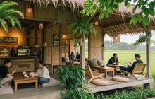 Ingin Hidup Tenang Tapi Tetap Cuan? Ini 7 Tips Slow Living dari Pengusaha Yogyakarta