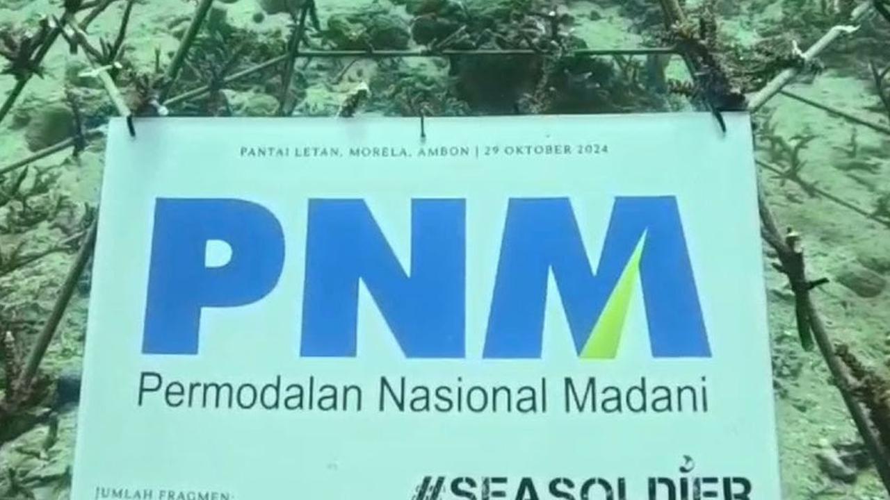 PNM Gandeng Pemuda dalam Konservasi Terumbu Karang di Ambon
